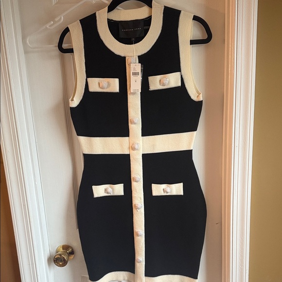 Endless Rose Black and Cream Mini Dress - Picture 1 of 6
